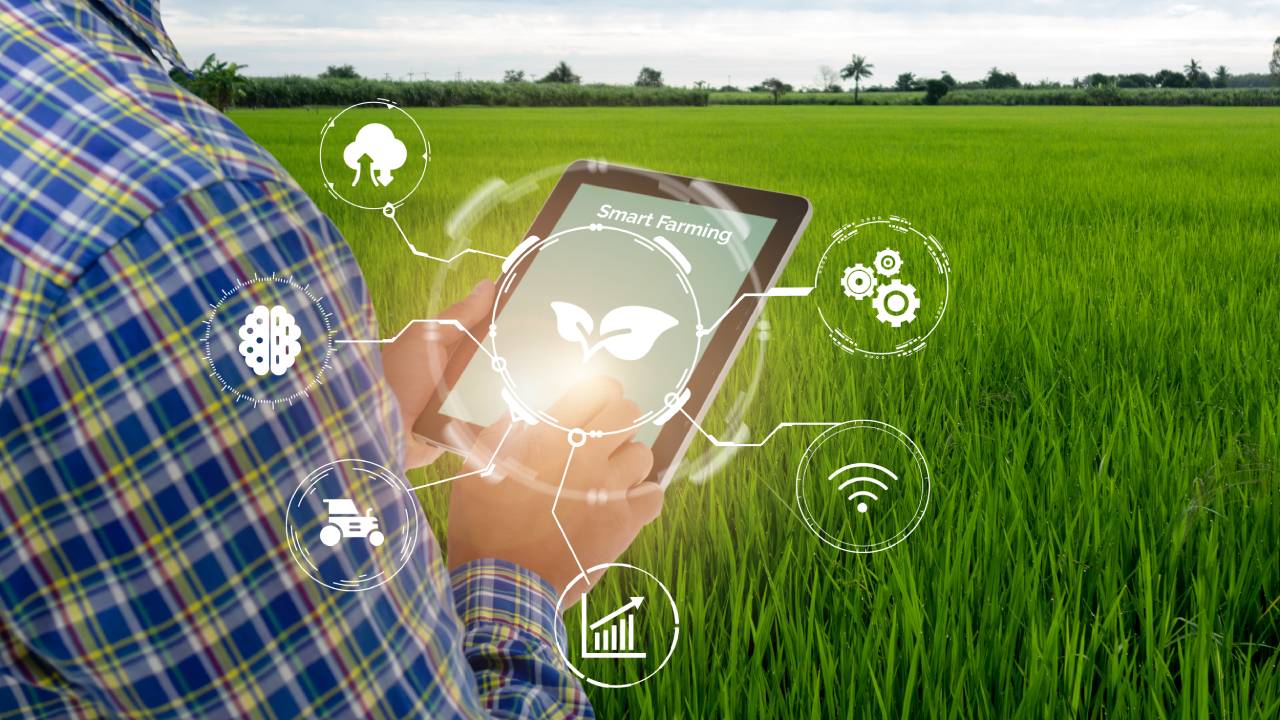 Precision Agriculture Technical Di Cosa Si Occupa Fastwebplus